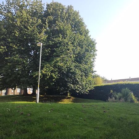Homestay Near A Station And Park Birmingham Bagian luar foto