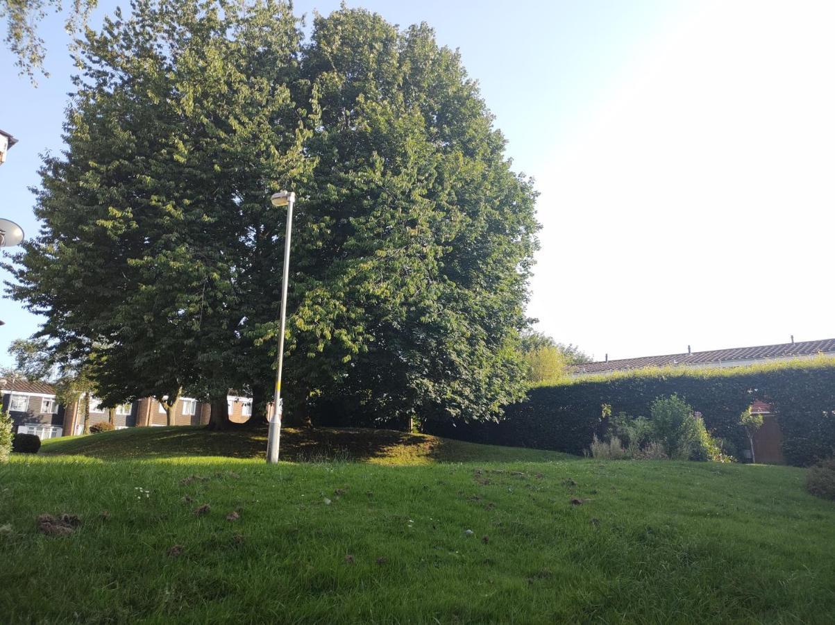 Homestay Near A Station And Park Birmingham Bagian luar foto
